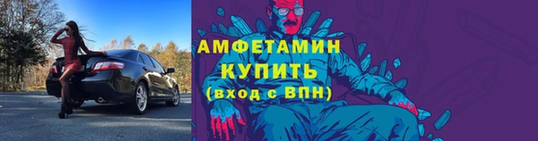 гидра Богданович