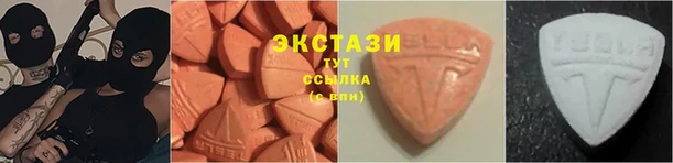 гидра Богданович