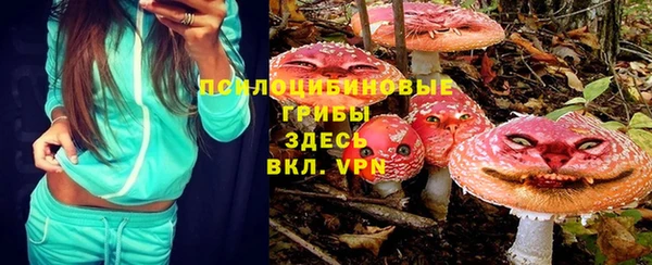 гидра Богданович