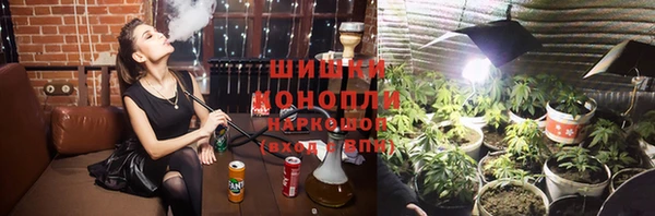 гидра Богданович
