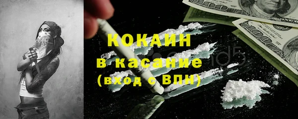 гидра Богданович