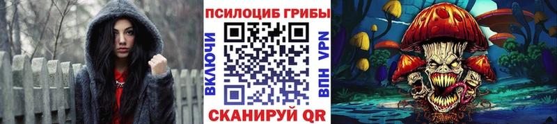 Псилоцибиновые грибы прущие грибы Тогучин